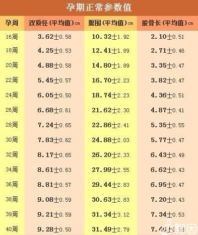 孕期正常参考值