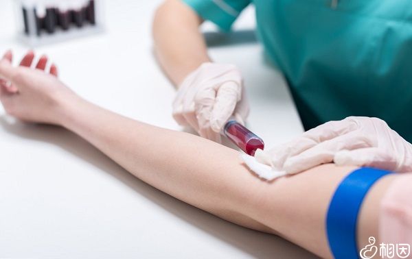 torch检查需抽血化验