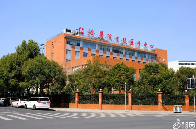 上海仁济医院做试管攻略