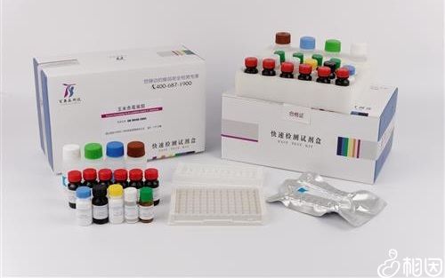 酶免法什么意思是怀孕了
