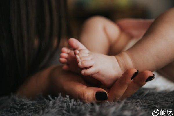 子宫肌瘤对怀孕的影响