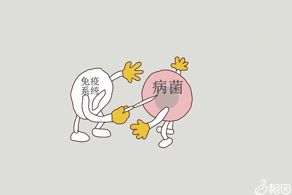 水痘疫苗是必须要打的吗