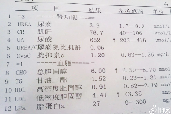 肾功能检查报告单