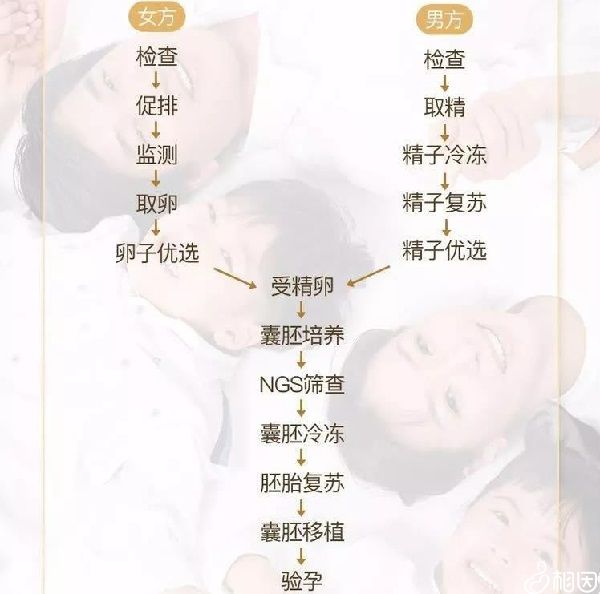 做试管婴儿的全部流程