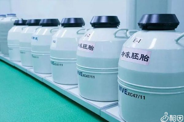 冷冻胚胎价格和数量有关