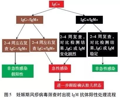 检查流程