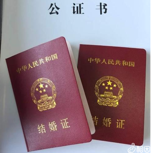 做试管结婚证要查真伪吗