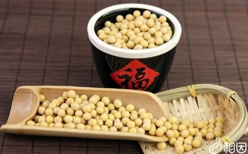 卵泡萎缩吃什么好