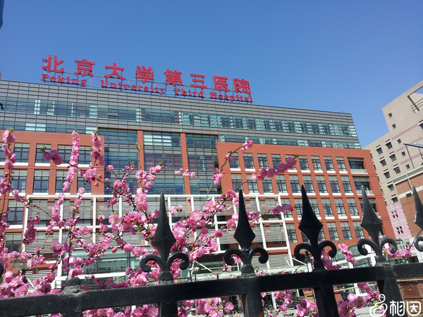 北医三院
