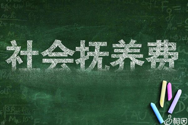 未婚生二胎社会抚养费不少