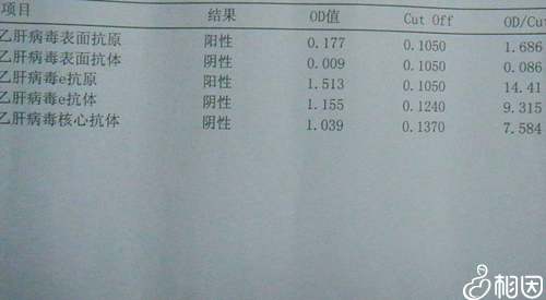 乙肝五项指标大三阳