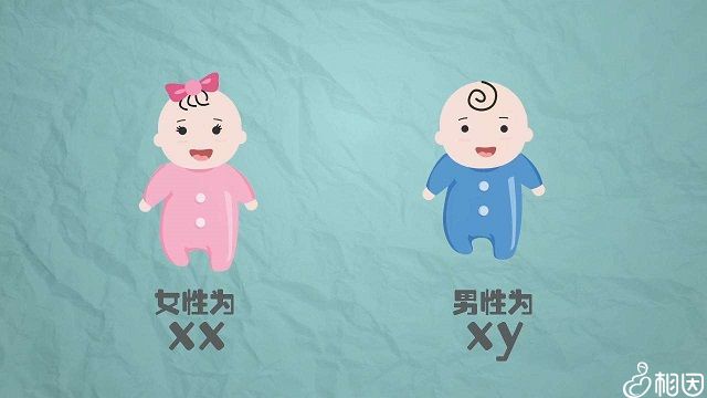 b超单看男女