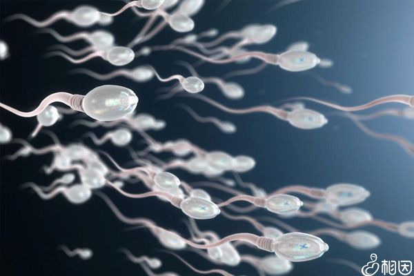 男方满足条件可做供精试管