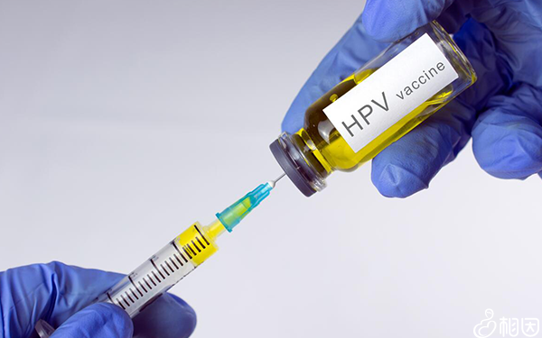 hpv疫苗为何在日本叫停