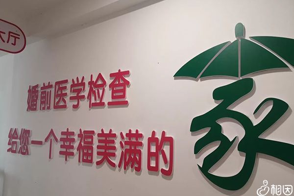 领取叶酸地点