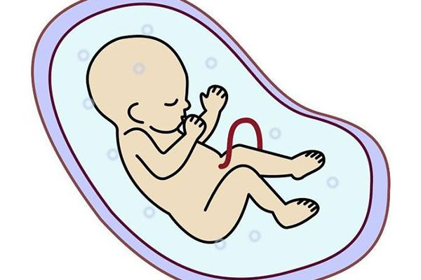 nt值越高胎儿异常几率越小