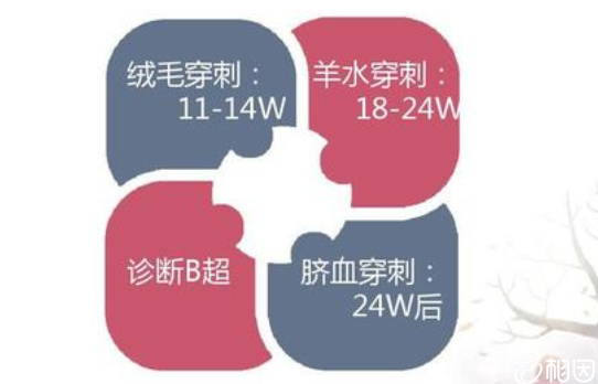 产前诊断方法