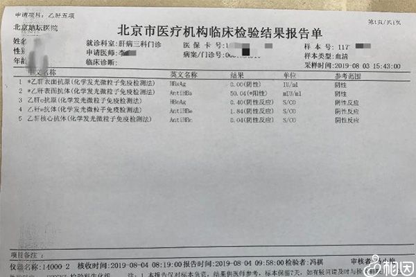 乙肝检查结果报告单内容