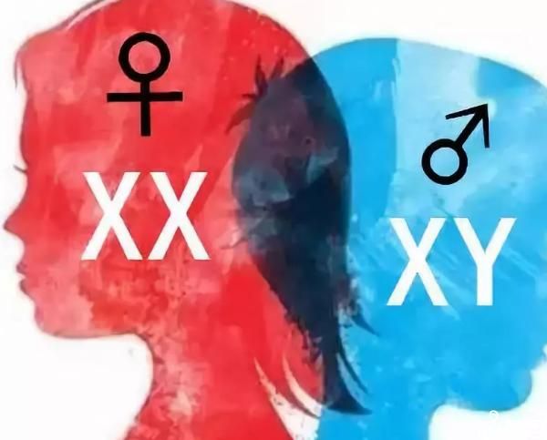 生男生女