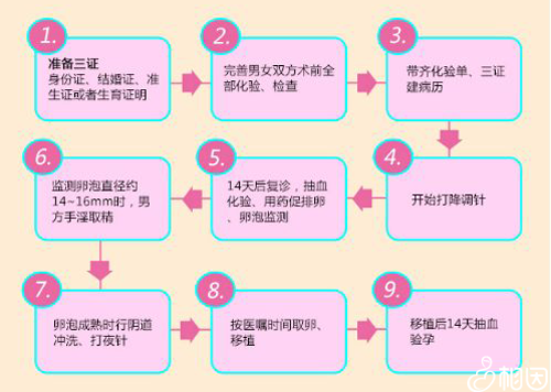 试管婴儿流程图
