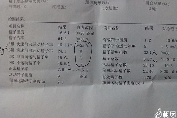 精子报告正常参考值图