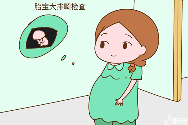 胎儿大排畸检查