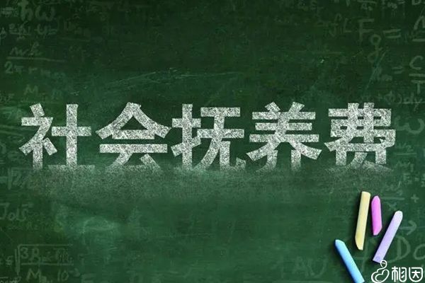 生三胎取消了社会抚养费