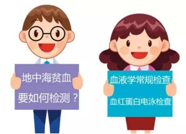 孕妇地中海贫血检查