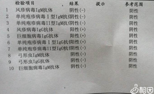 风疹病毒igg阳性
