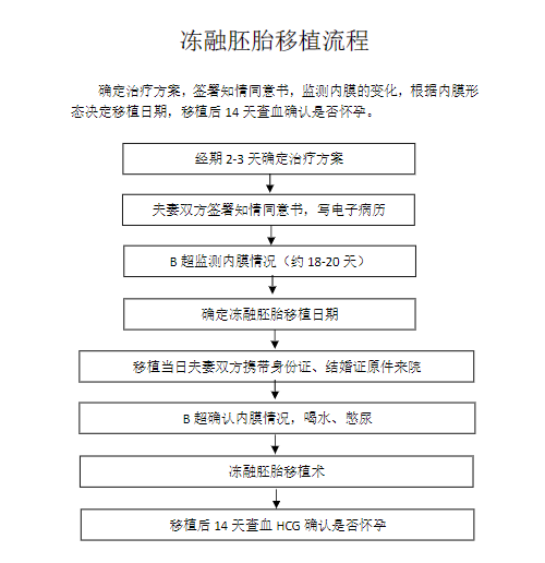冻胚移植流程图