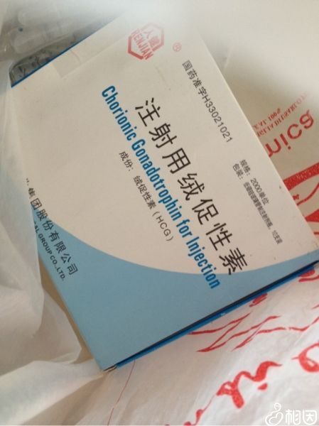 打hcg针