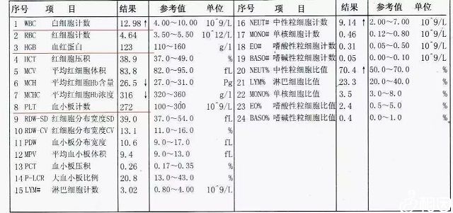 血常规检查项目示例
