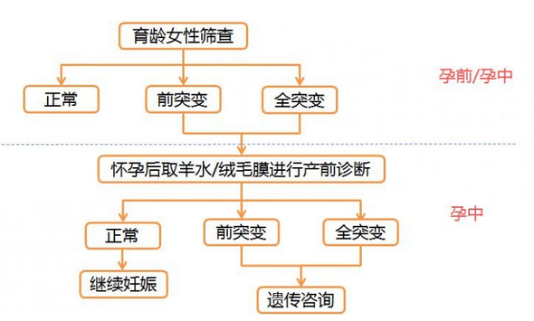 育龄女性筛查