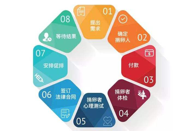 供卵试管婴儿流程
