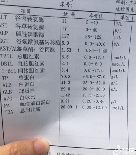 总胆汁酸检查报告