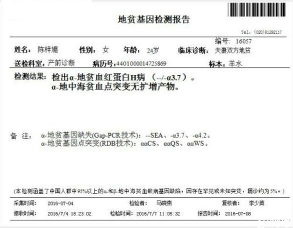 地贫筛查报告