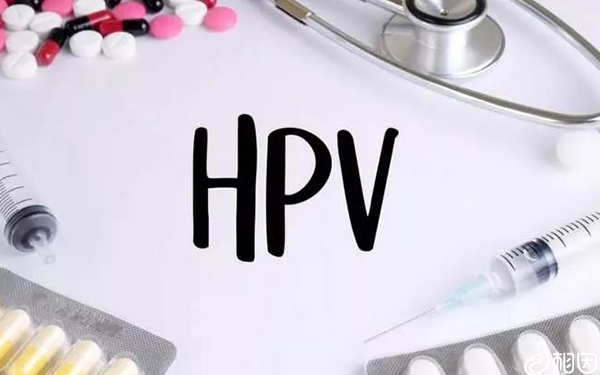 hpv疫苗价格