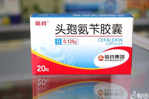 头孢氨苄胶囊