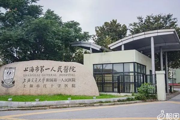 上海市一院