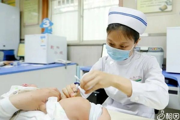不能打hib疫苗的情况