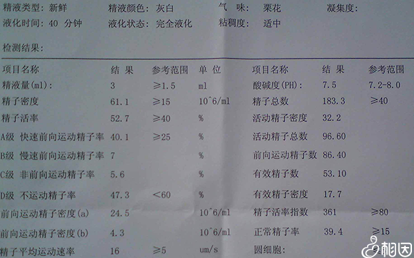 精液常规检查