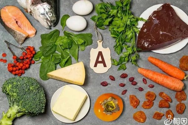 含维生素a的食物可以提高怀孕率