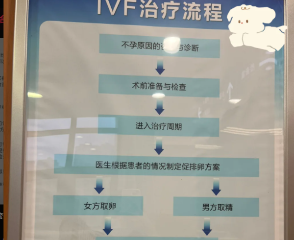 试管婴儿流程图