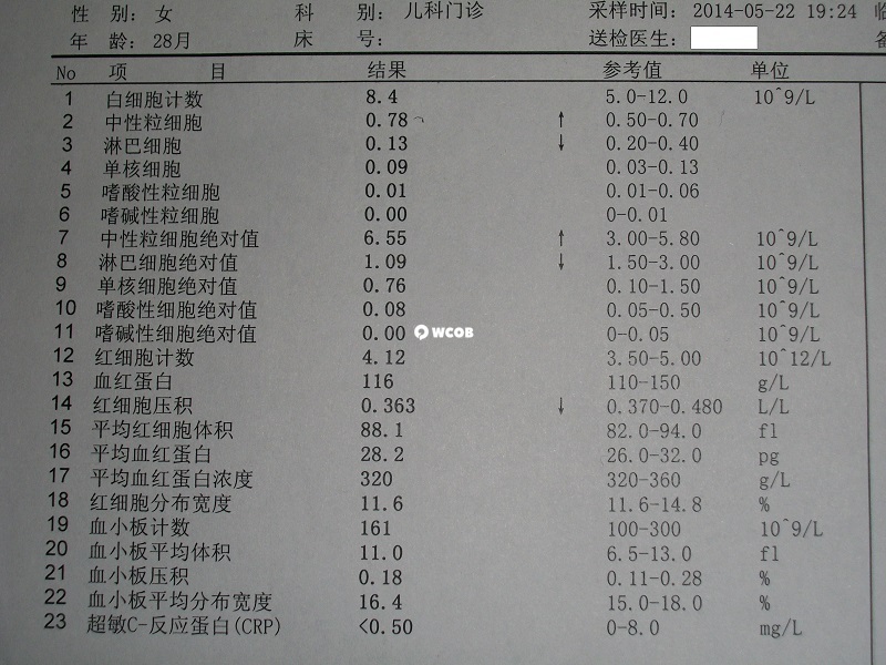 全血24项检查报告单中主要看的三项检查结果
