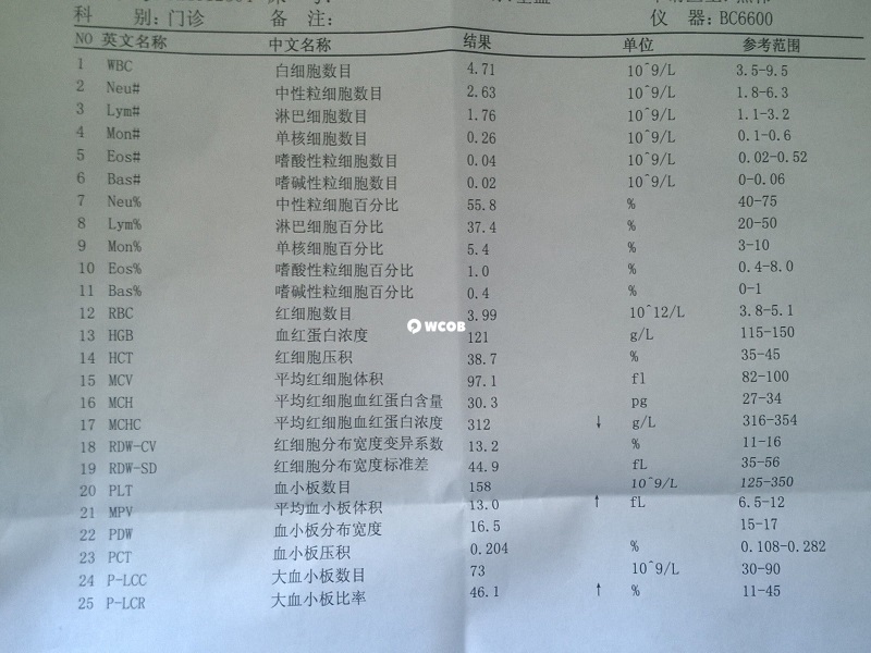 全血检查报告单主要看的项目