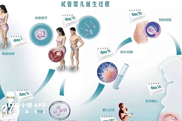 做试管前要进行检查