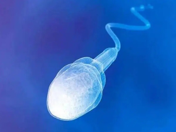 男人检查精子质量需手淫取精