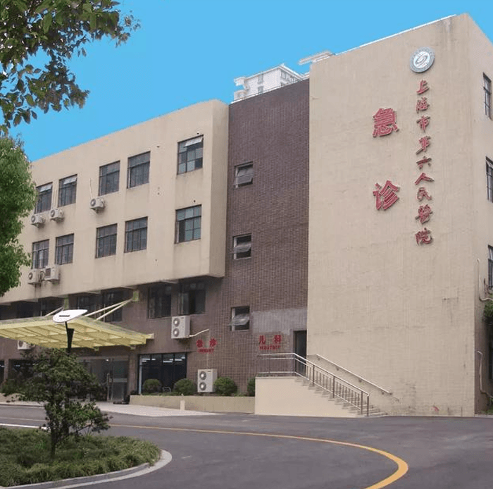 上海六院试管婴儿价格