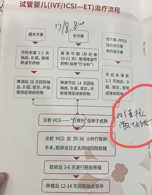 试管婴儿治疗流程