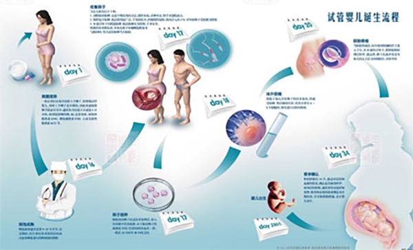 试管婴儿流程图